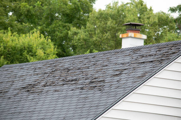 istockphoto-1173628350-612x612.jpg